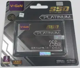 SSD 256G VGEN platinum