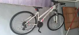 Sepeda Polygon 2.0 ladies