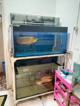 Aquarium 2 tingkat full kaca