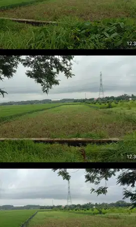 Sawah strategis jalan raya dekat RS junaediggir