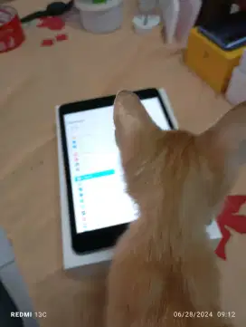 Apple iPad Mini Gen 4, Bekas mulus bagus wifi only