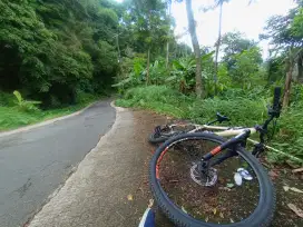 MTB / Sepeda Gunung Polygon Cascade 3.0