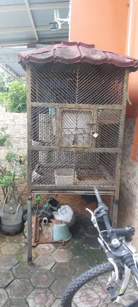 Burung poksay hongkong dan kandang