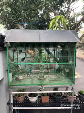 Kandang Burung Aviary