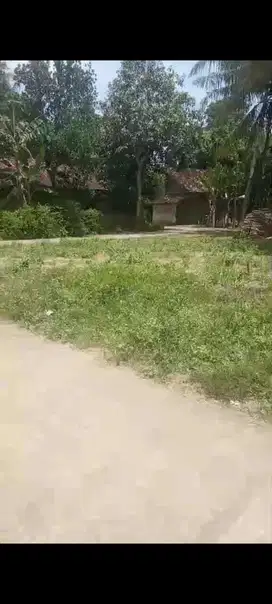 DI JUAL TANAH DI KEDUNDANG TEMON KULON PROGO