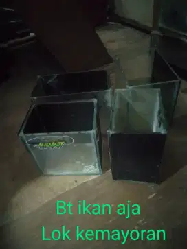 Bt ikan / mahar juga boleh