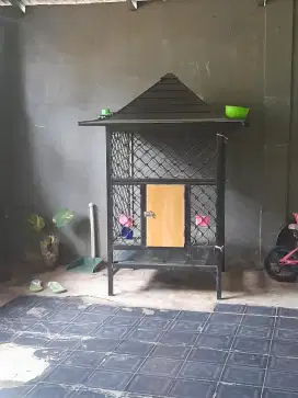 Kandang ayam pekarangan