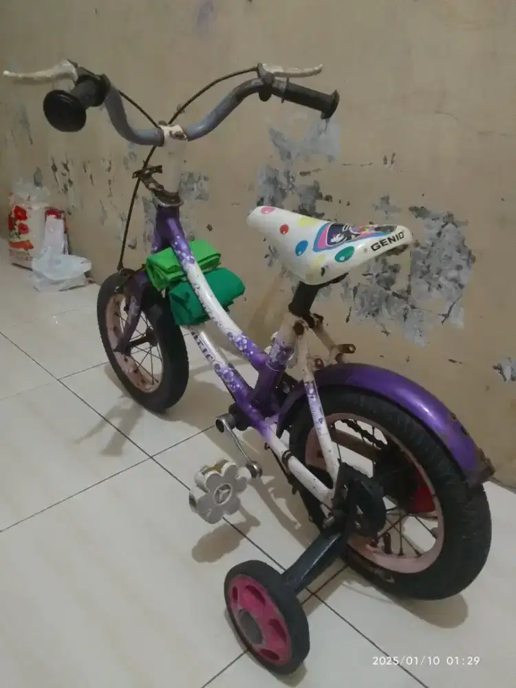 Sepeda Anak Cewe