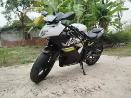 Ninja mono sl 250