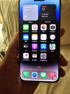Iphone 14 promax 256 GB inbox
