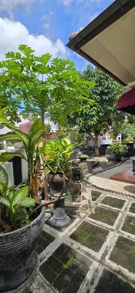 Rumah luas tanah besar hitung tanah dicluster elit bintaro jaya
