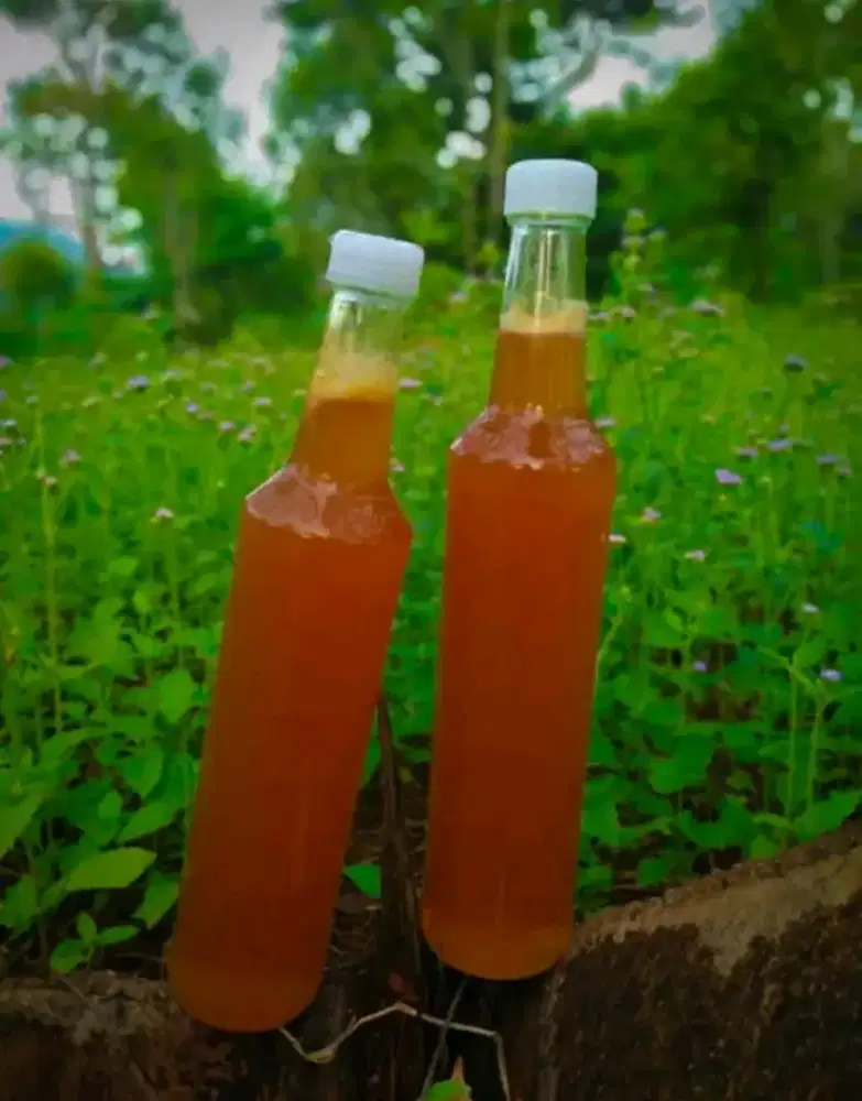 Madu hutan asli