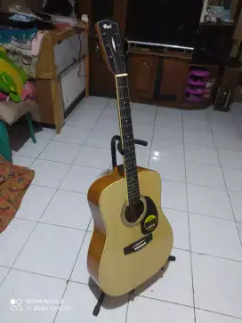 Gitar akustik cort