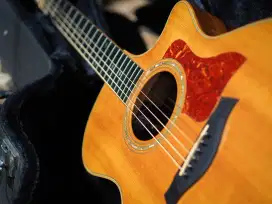 Taylor guitar 414CE LTD
