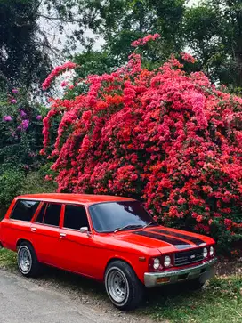Chevrolet Luv 1981 Diesel