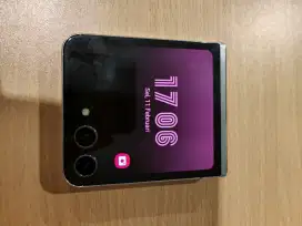 Samsung Galaxy Z Flip 5 SEIN