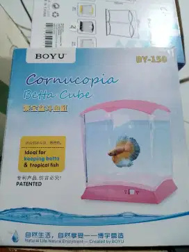 Akuarium Cupang borongan 1 lusin ada lampu led boyu