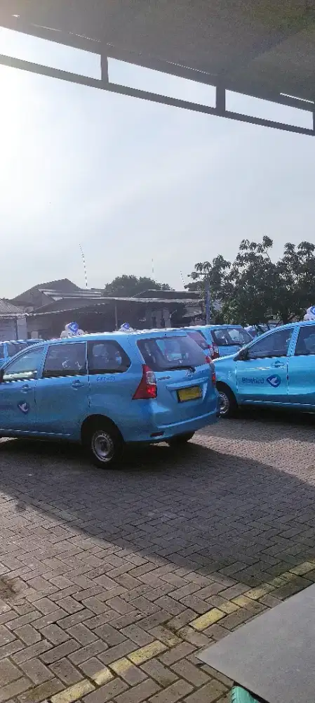 Lowongan  pengemudi taksi bluebird