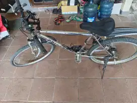 Sepeda mtb polygon