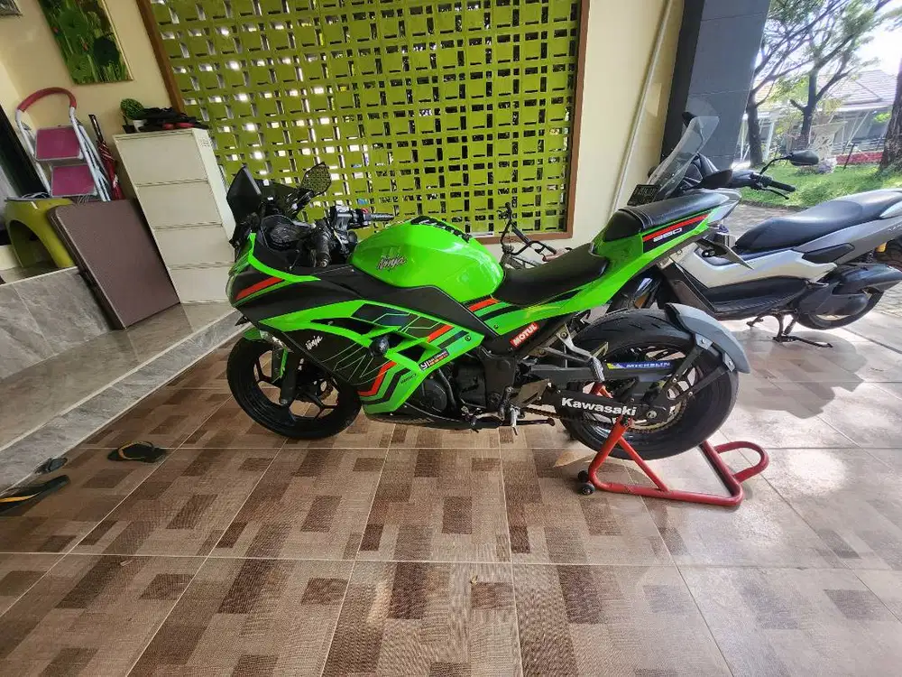 Ninja 250 - Pajangan Garasi