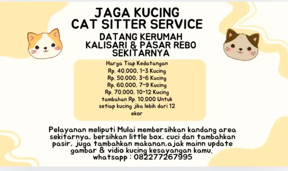 Jasa Catsitter datang kerumah kamu
