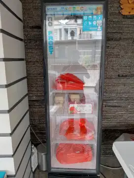 Showcase Steko MG-300