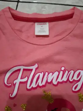 Kaos Pink Flaminggo