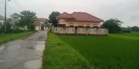 Rumah Mewah Murah