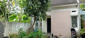 Take Over Rumah dkt IPB Dramaga 49 JT - Green Dramaga Residence