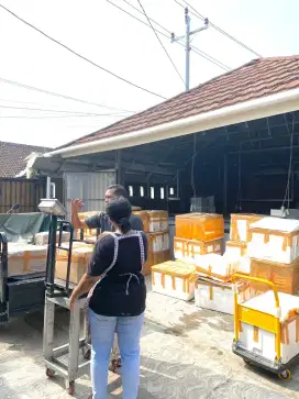 Pusat Grosir Daging Durian Premium di Jogja