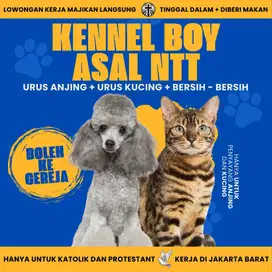 KENNEL BOY ASAL NTT