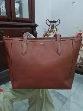 Tas Fosil original