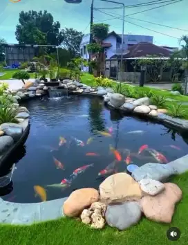 Tukang ahli kolam ikan koi