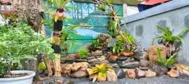 Kolam batu asli natural alami