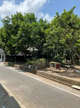 Tanah Pekarangan 600m2 SHM Kartasura