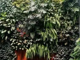 Jual & Pasang Vertical & Landscap Garden