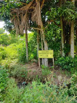 Dijiual Tanah 10 Tumbuk di dekat Universitas Jambi