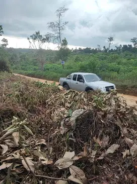 Dijual Tanah 10 Tumbuk dekat Citra Raya City Mendalo - Jambi