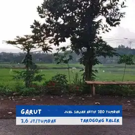 Jual Sawah di Garut Tarogong Pinggir Jalan