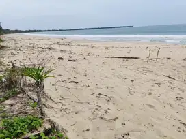 tanah 3 hektar pinggir pantai biha  pesisir barat