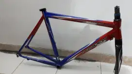 Ridley Aedon Frame