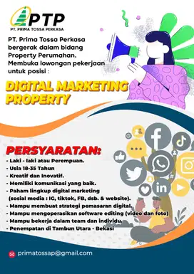 Digital Marketing Property INHOUSE DEVELOPER