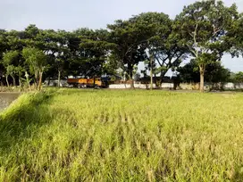 Tanah Sawah 3220 m2 di Karangtengah Dekat Pusat Kota Cianjur