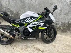 KAWASAKI MONO 250cc 4tk