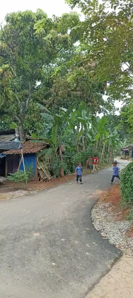 Jual Murah Tanah Kebun di cogreg,Ciseeng,Parung-Bogor