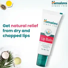 HIMALAYA Lip Balm Regular 10G