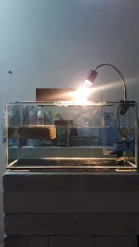 aquarium fullset + ikan koki
