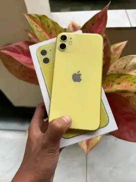 Iphone 11Ibox 64 Mulus Pemakai Pribadi jual cepat BU