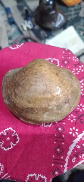 BATU FOSIL KIJING TEMUAN ALAM