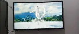 Tv 40 in Philips plus STB
